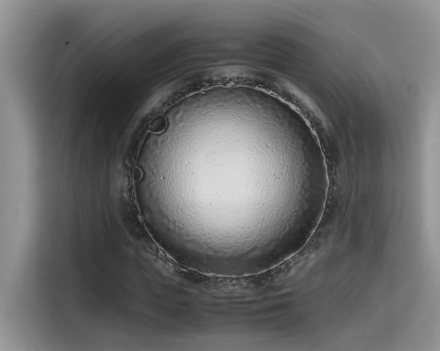 X0000115540823200911131542