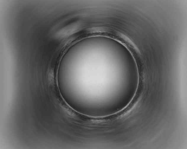 X0000115540825200911131542