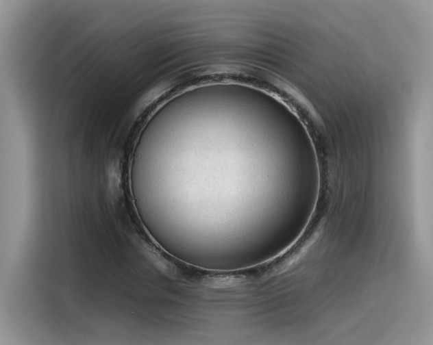 X0000115540826200911131542