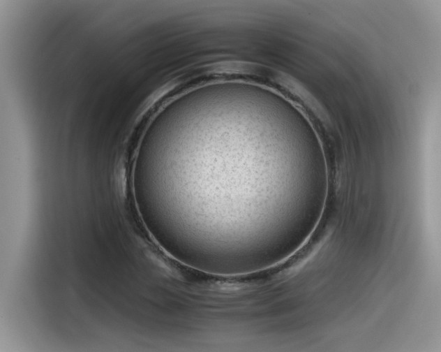 X0000115540829200911131542