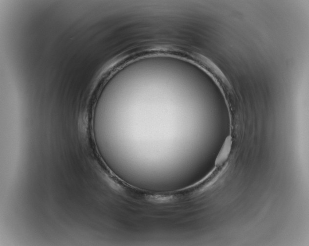 X0000115540831200911131542