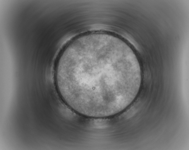 X0000115540832200911131542