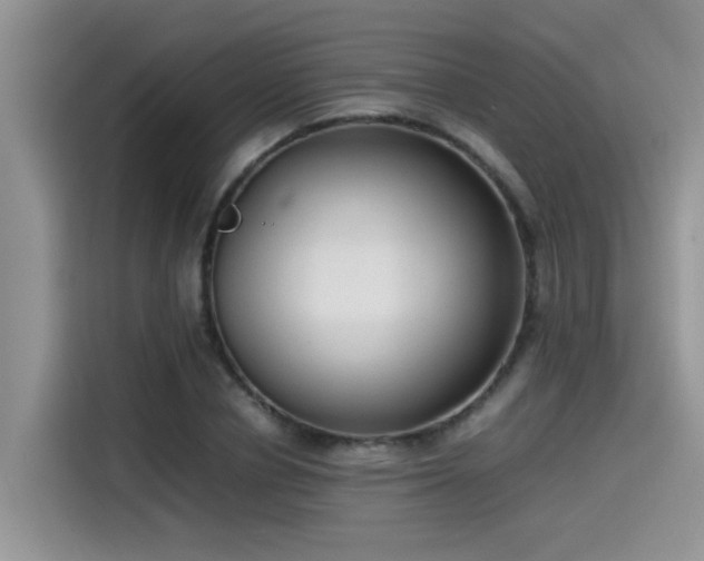 X0000115540834200911131542