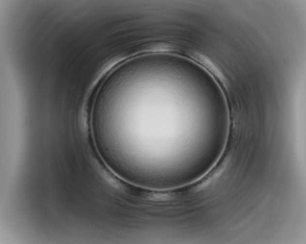 X0000115540835200911131542