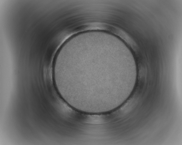 X0000115540836200911131542