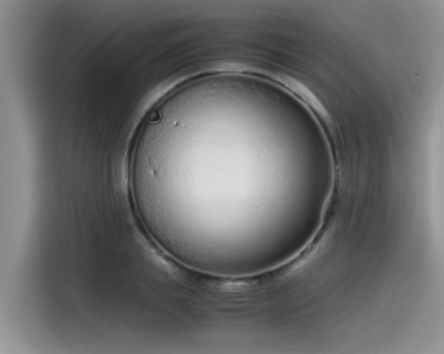 X0000115540839200911131542