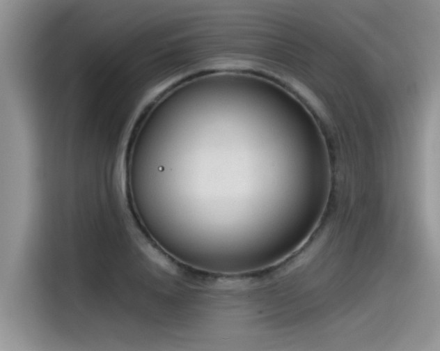 X0000115540840200911131542