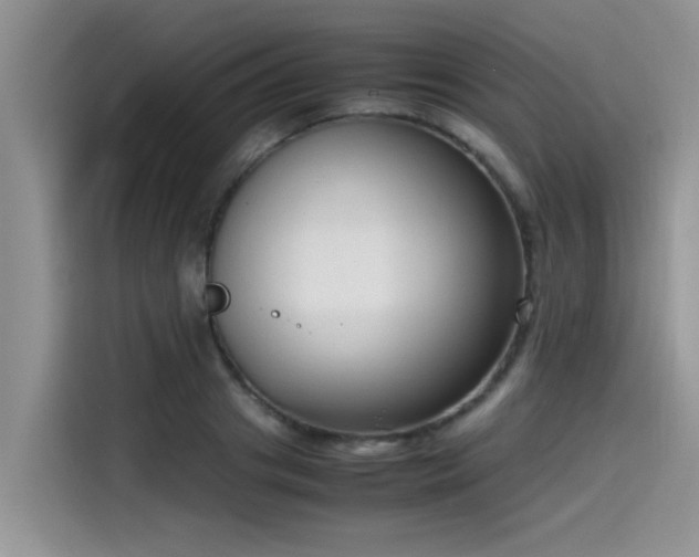 X0000115540841200911131542