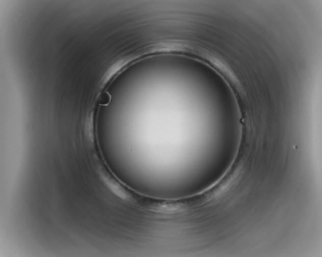 X0000115540842200911131542