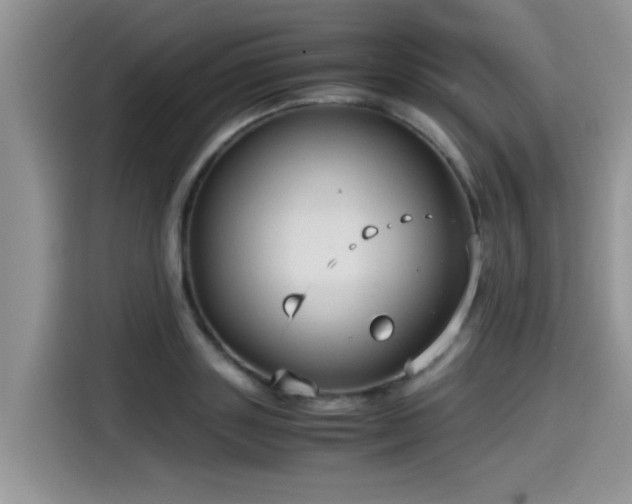 X0000115540843200911131542