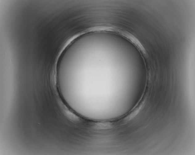 X0000115540844200911131542