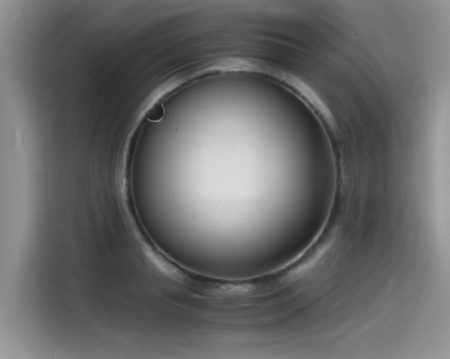 X0000115540845200911131542