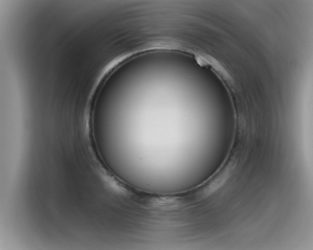 X0000115540846200911131542