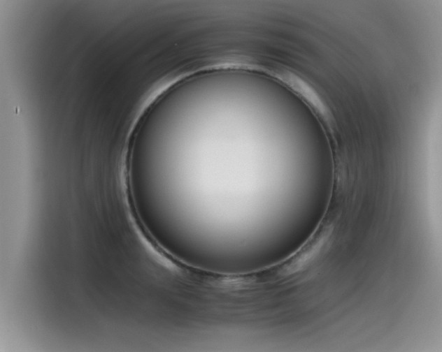 X0000115540847200911131542