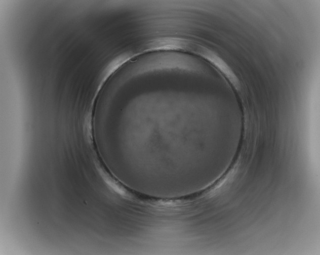 X0000115540850200911131543