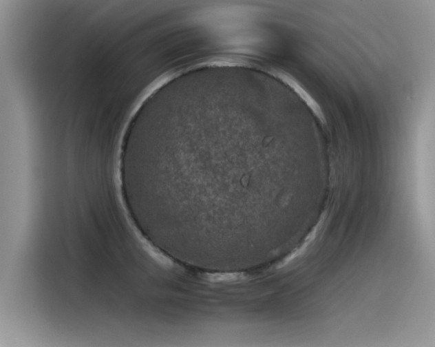 X0000115540853200911131543