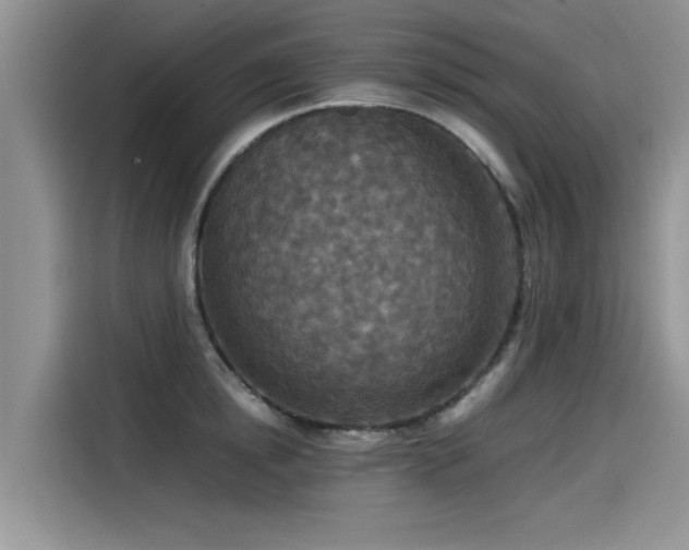 X0000115540854200911131543