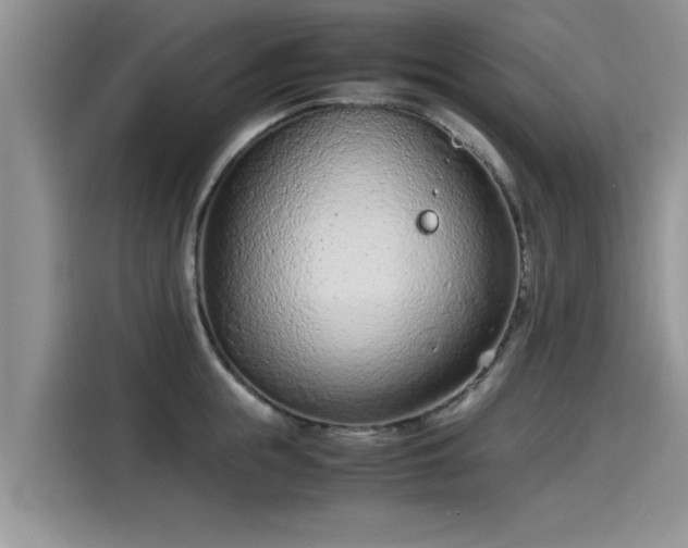 X0000115540855200911131543