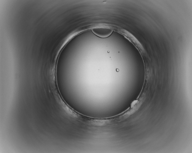 X0000115540860200911131543