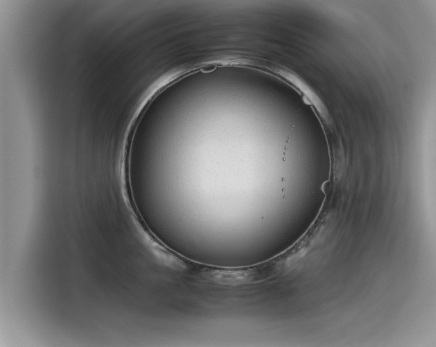 X0000115540861200911131543