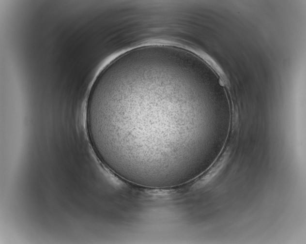 X0000115540862200911131543