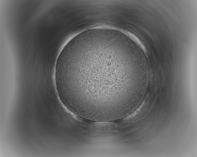 X0000115540863200911131543