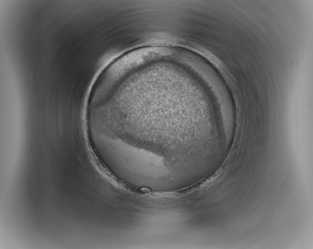 X0000115540864200911131543