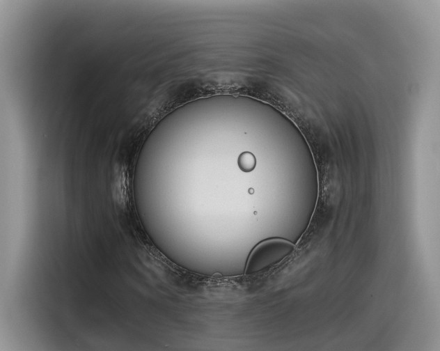 X0000115540866200911131542