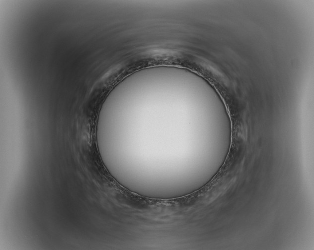 X0000115540869200911131542