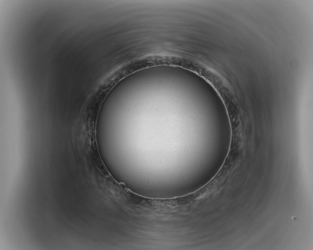 X0000115540870200911131542