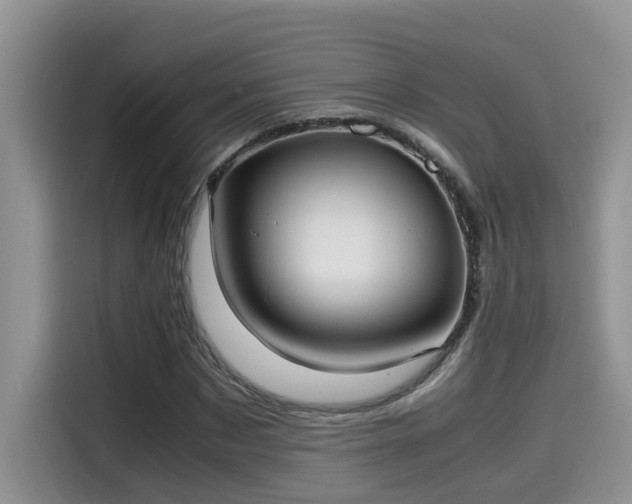 X0000115540873200911131542