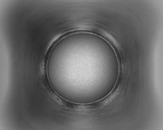 X0000115540875200911131542