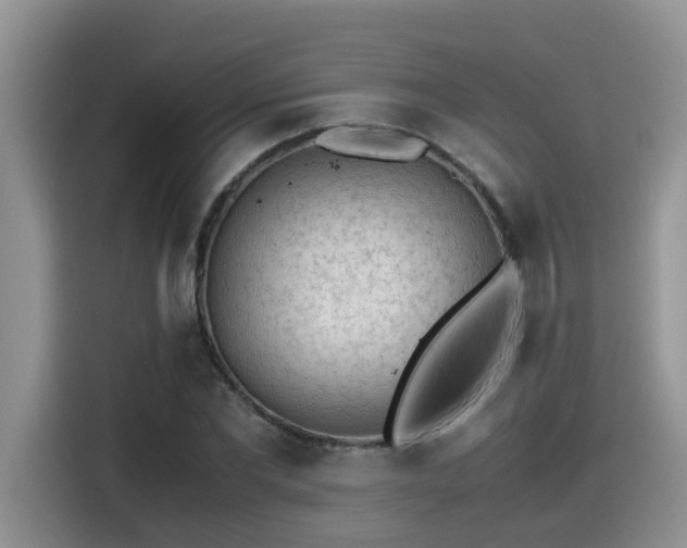 X0000115540877200911131542