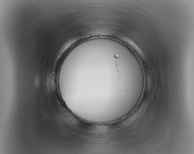 X0000115540878200911131542