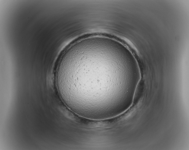 X0000115540879200911131542