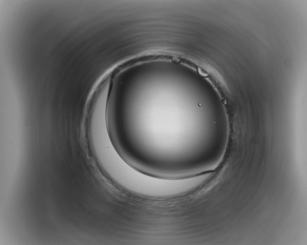 X0000115540880200911131542