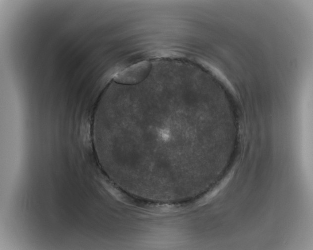 X0000115540881200911131542