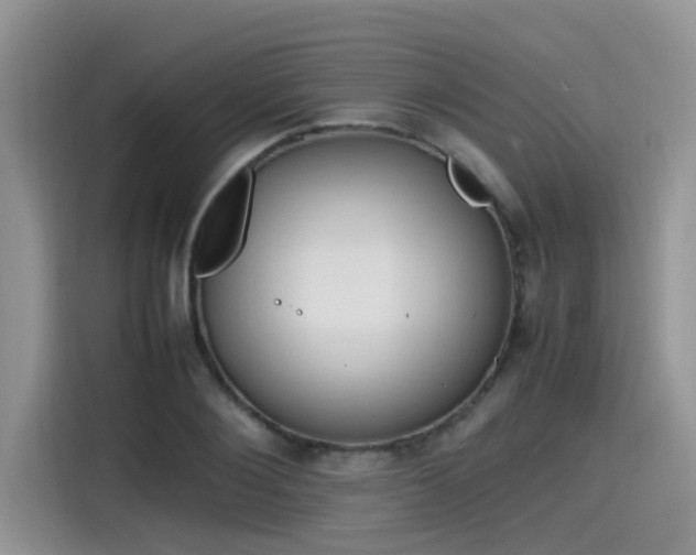 X0000115540884200911131542