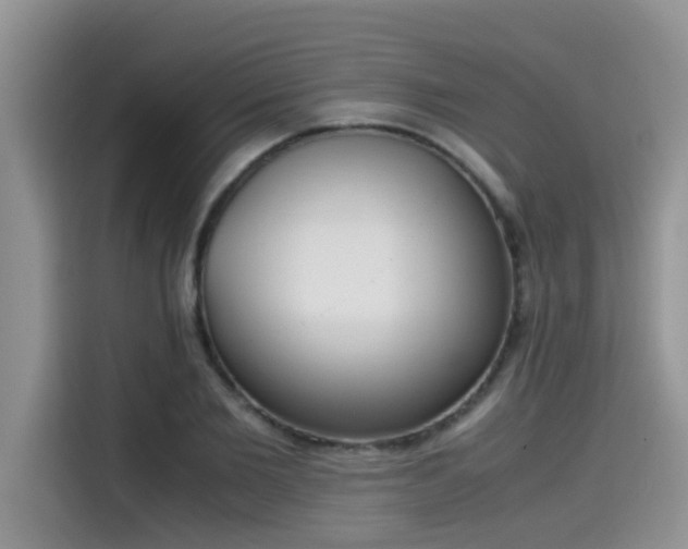 X0000115540885200911131542