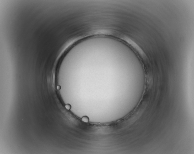 X0000115540886200911131542