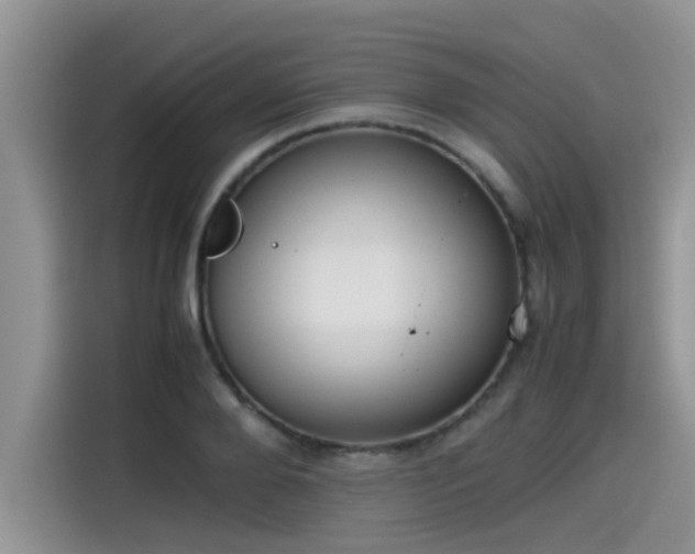 X0000115540888200911131542