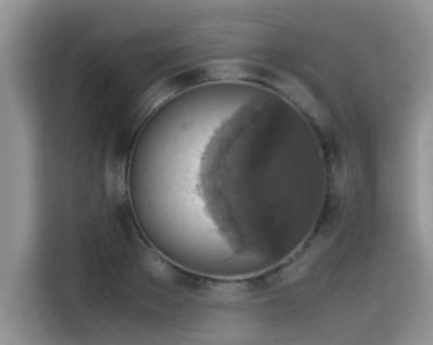 X0000115540889200911131542