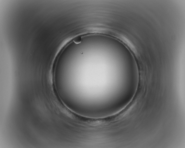 X0000115540891200911131542