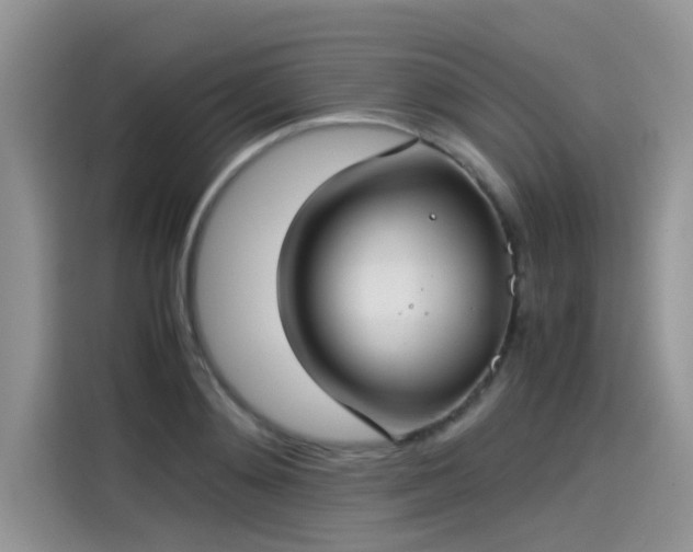 X0000115540892200911131542