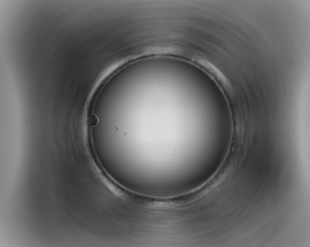 X0000115540894200911131542