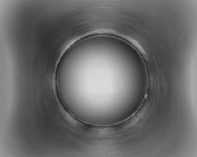 X0000115540895200911131542