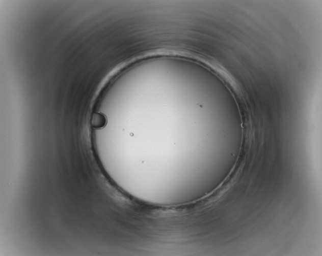 X0000115540896200911131542