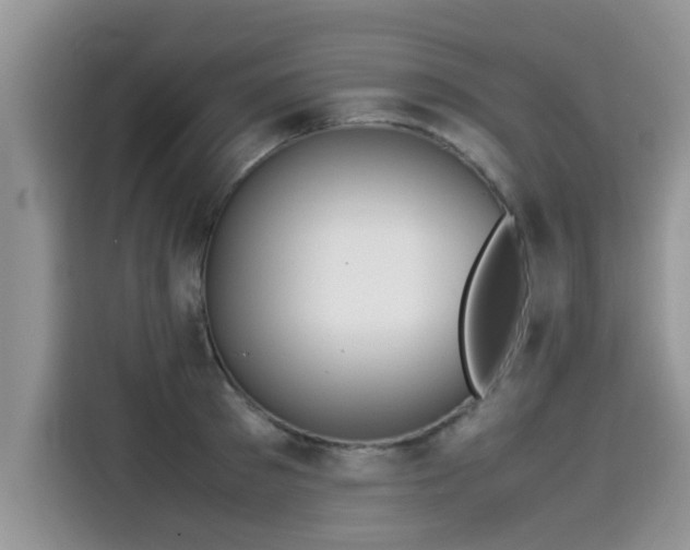 X0000115540897200911131542