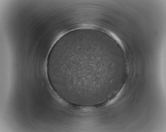 X0000115540899200911131542