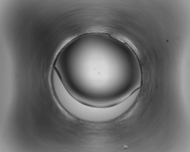 X0000115540901200911131542